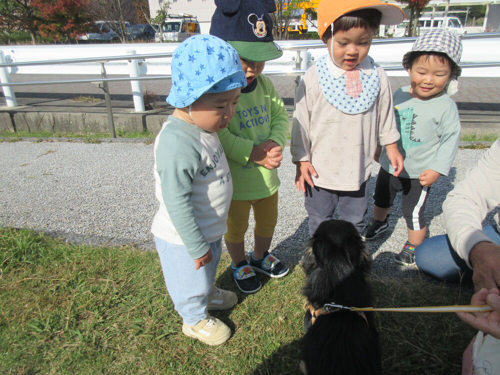 犬に出会った