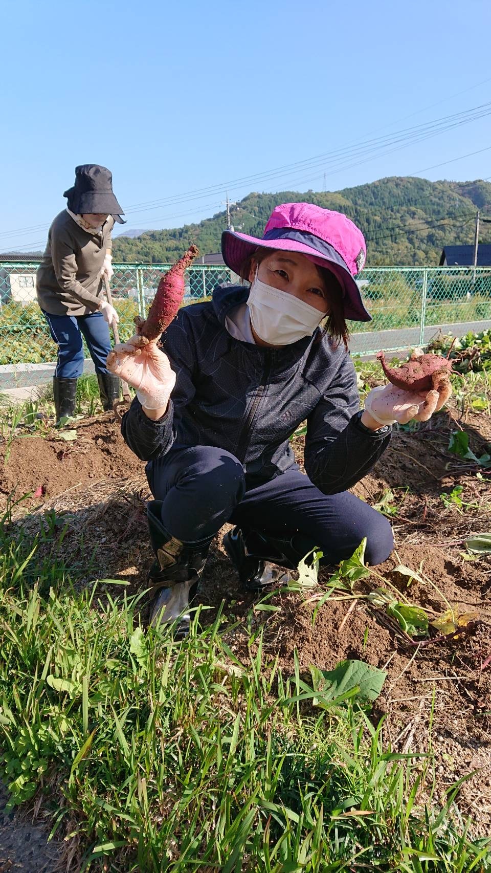 芋掘り3