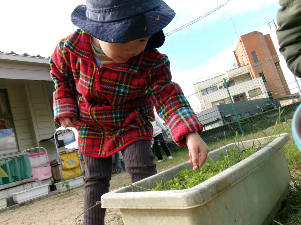 園庭で遊ぶ子ども (1)