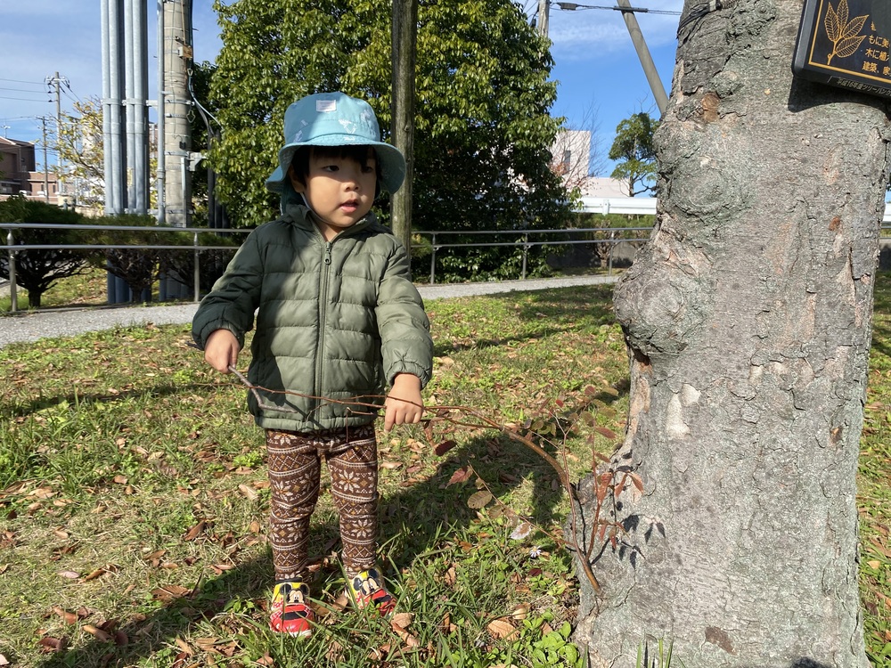 あすてらす公園で遊んでいる様子 (4)