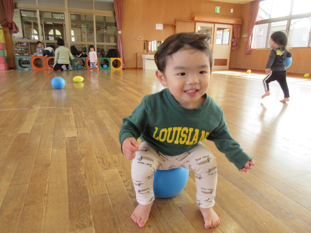 ボールで遊んでいる様子