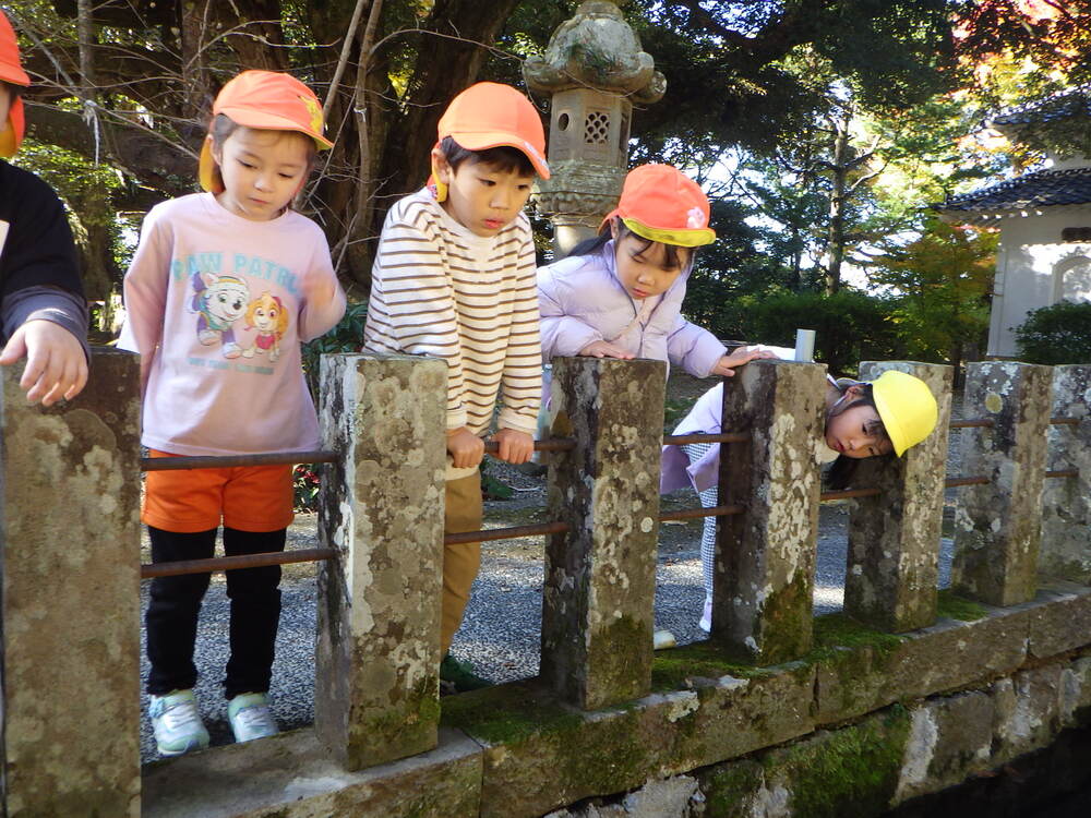 法蔵寺へ散歩