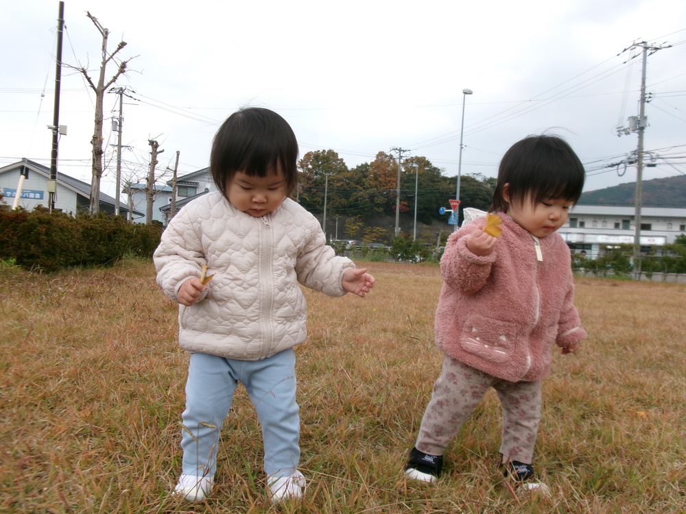 落ち葉を探す子ども