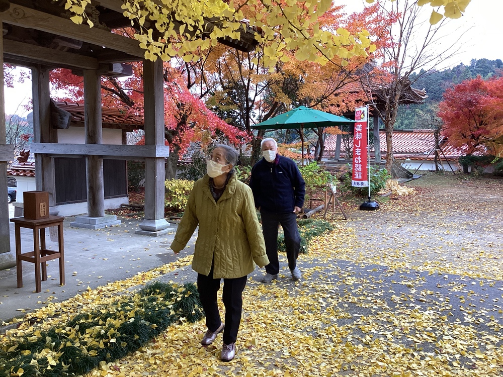 銀杏
