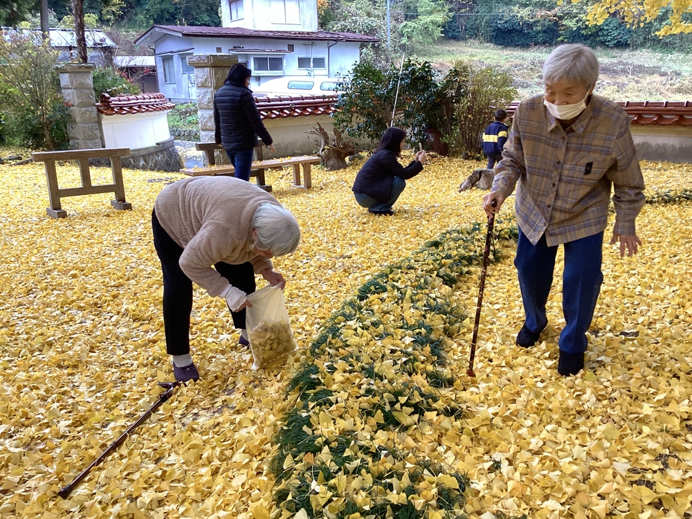 銀杏