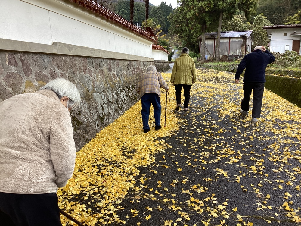 銀杏