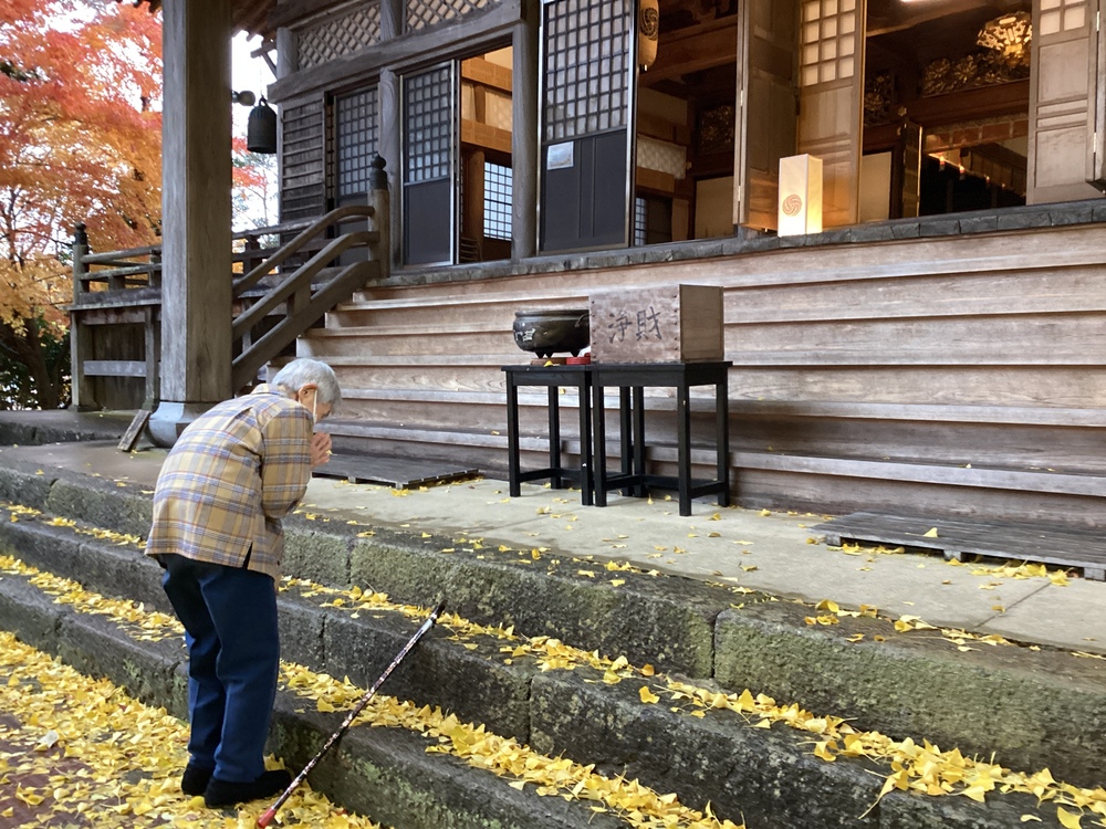 銀杏