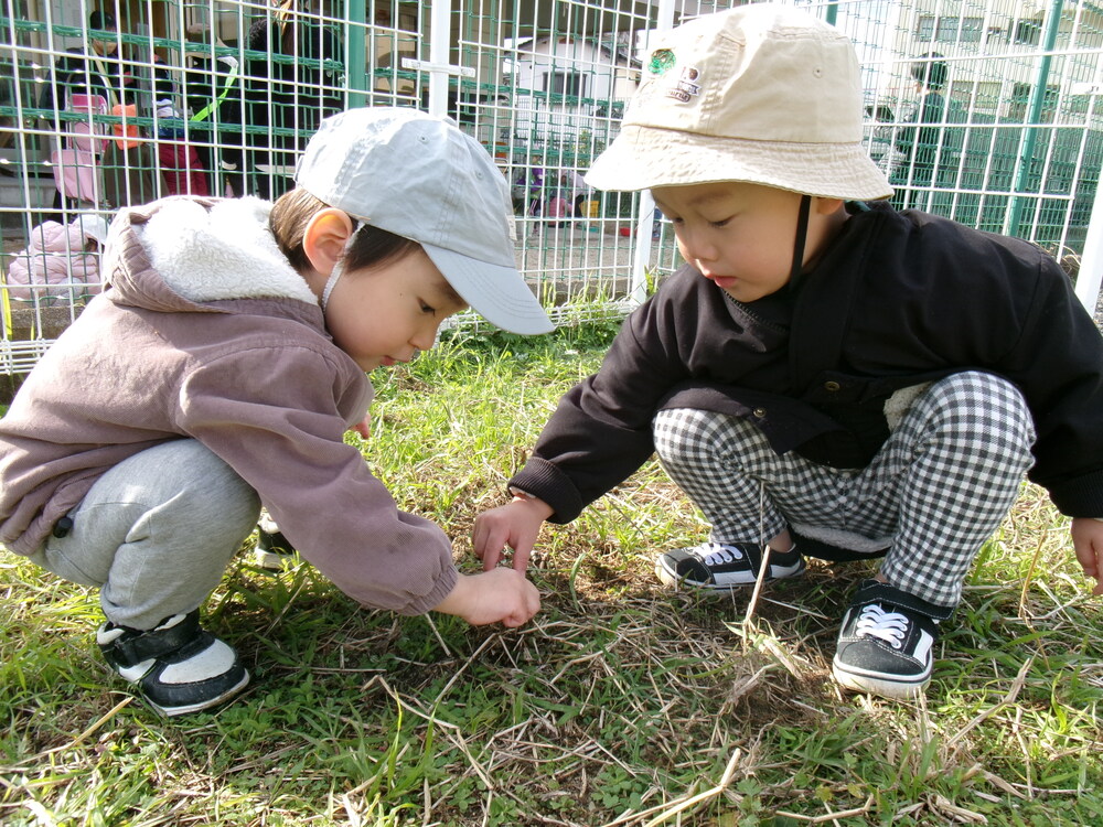 園庭で遊んでいる様子3