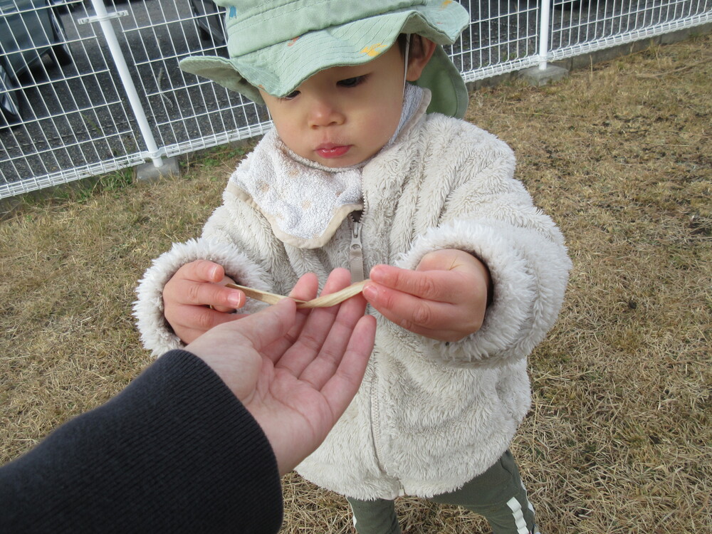 園庭で遊んでいる