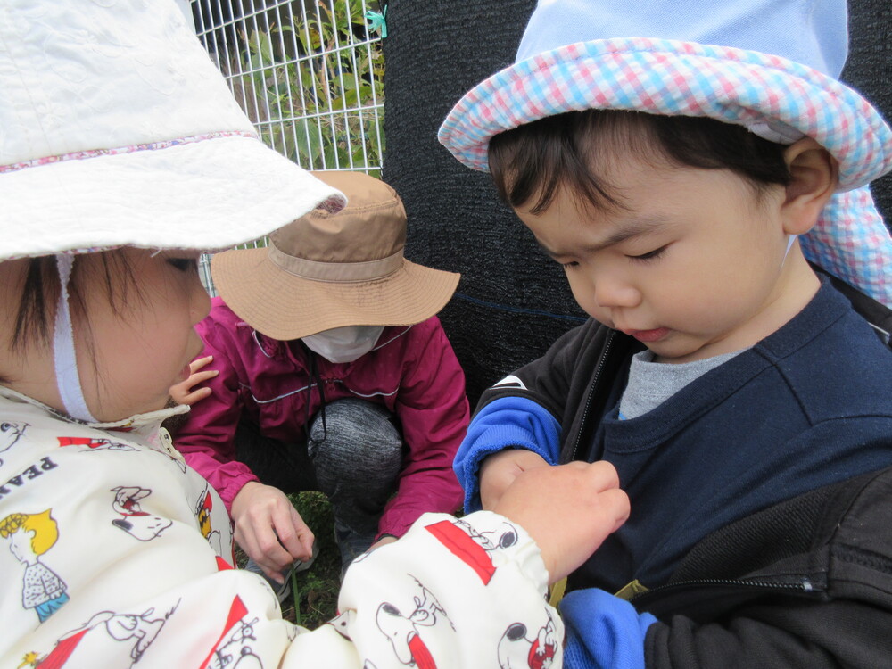 園庭で遊んでいる
