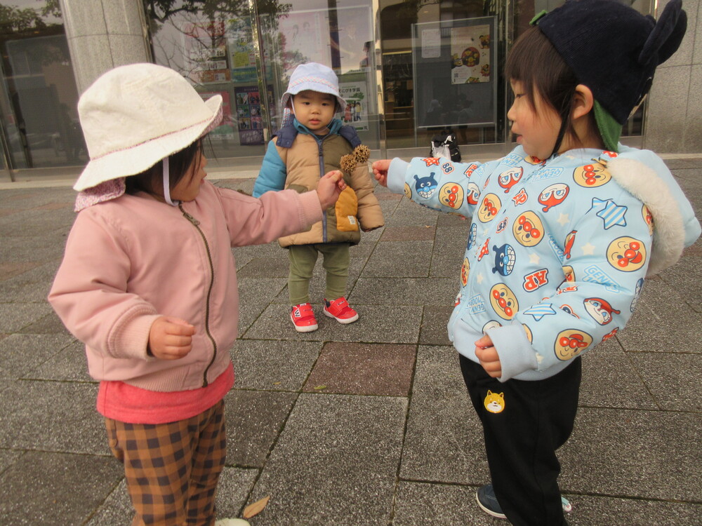 木のみを拾った