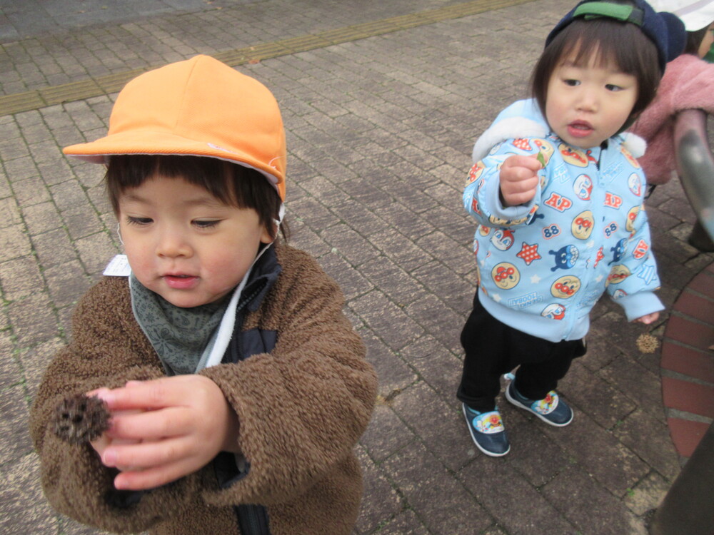 木のみを拾った