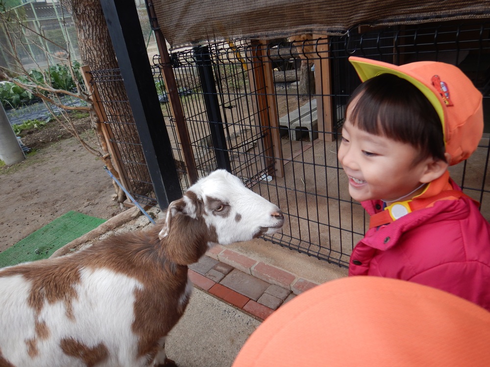 ヤギのめぇ太くんに会いに行った様子 (2)