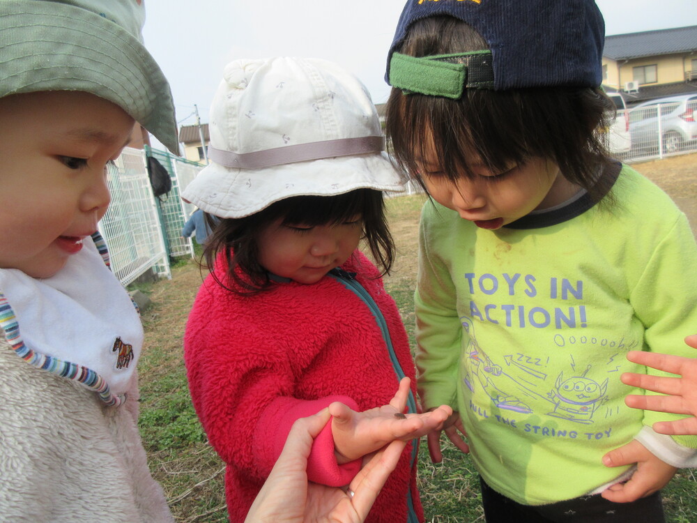 園庭で遊んでいる様子 (2)