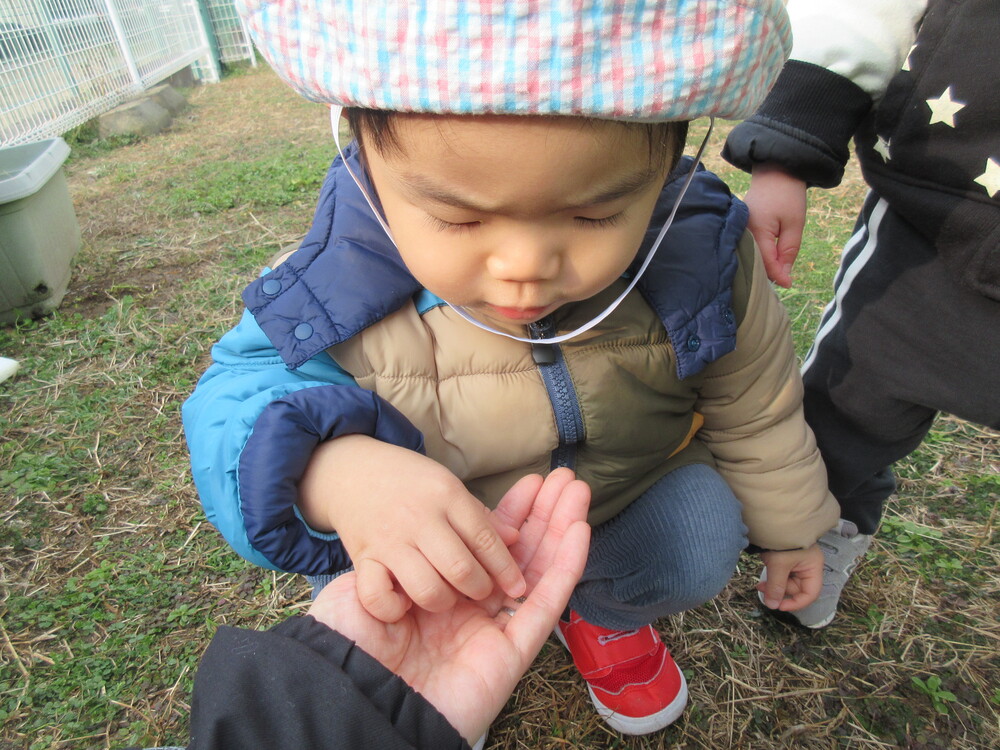 園庭で遊んでいる様子 (4)