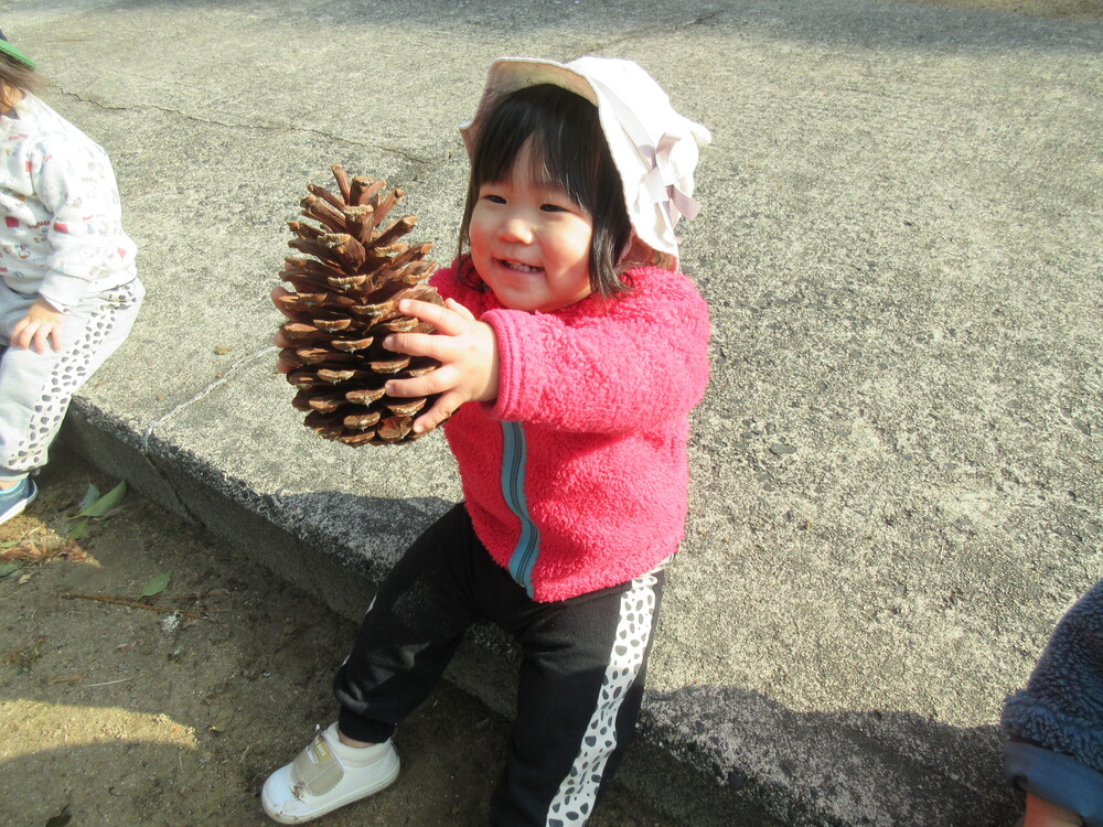 松ぼっくりを見ている様子 (1)