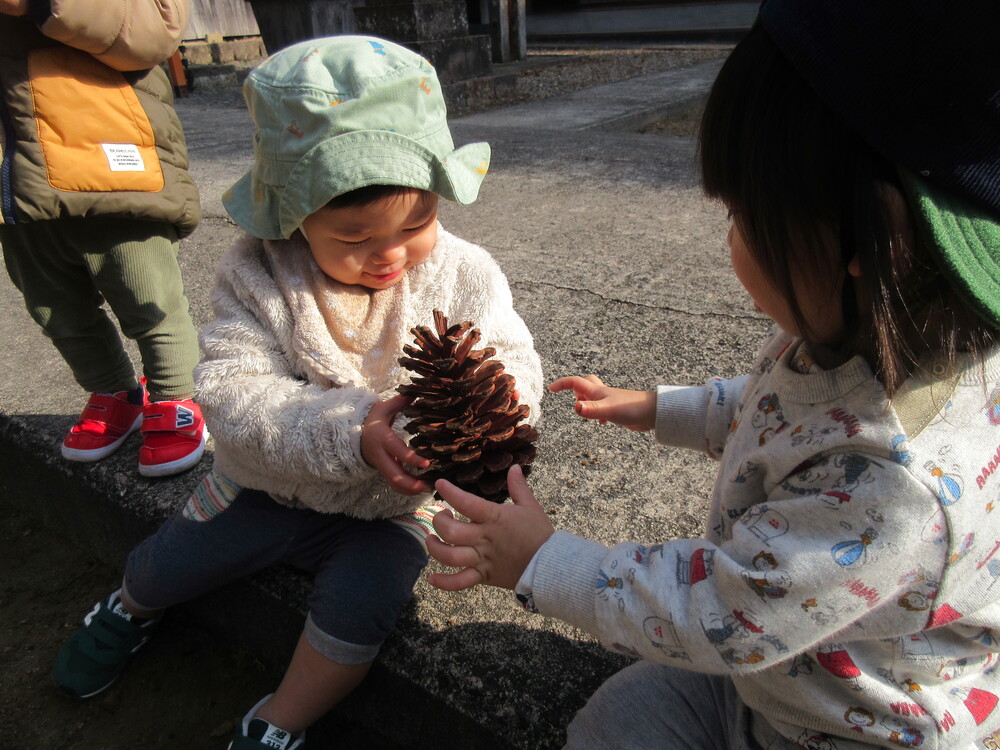 松ぼっくりを見ている様子 (2)