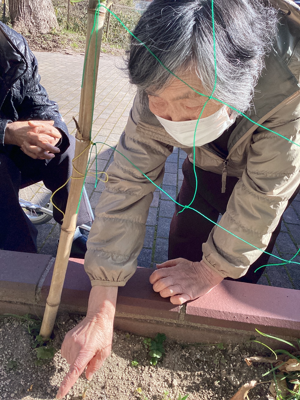 散歩