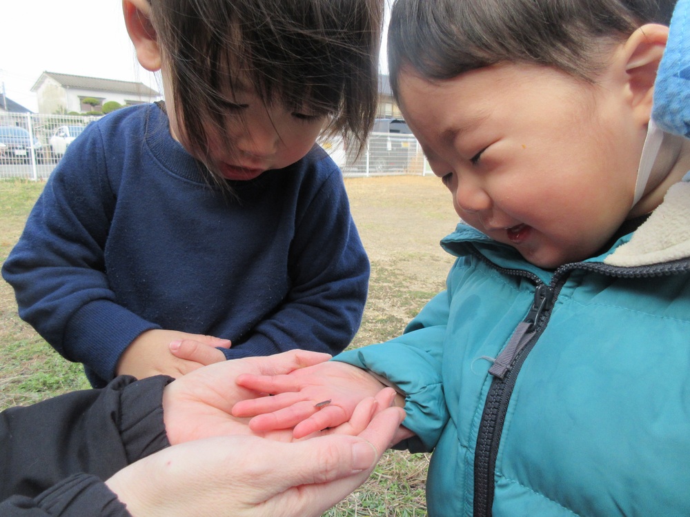 園庭で遊んでいる様子