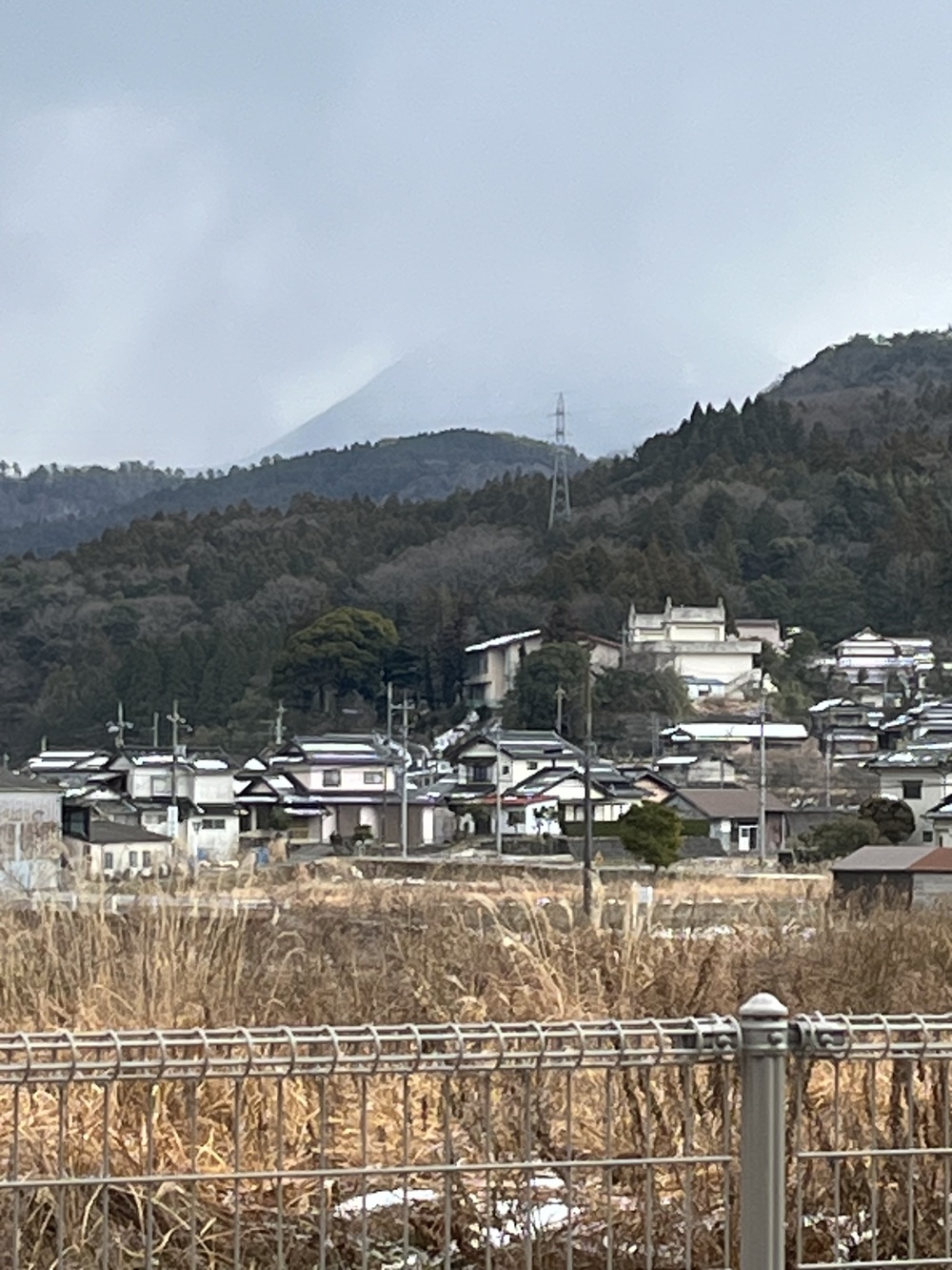 IMG_1043[1]