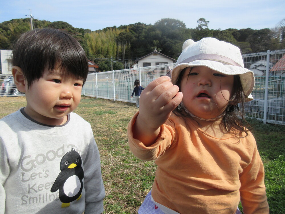 園庭で遊んでいる