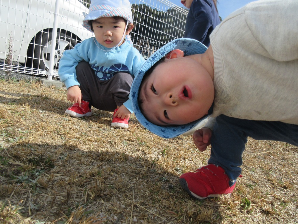 園庭で遊んでいる