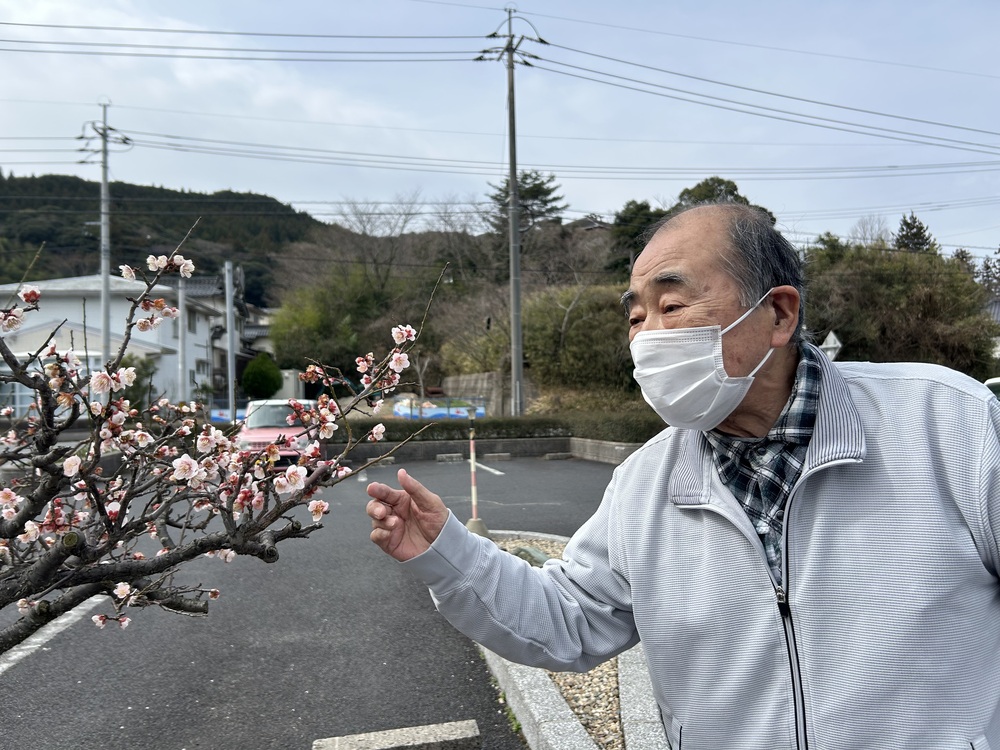 kさんと梅