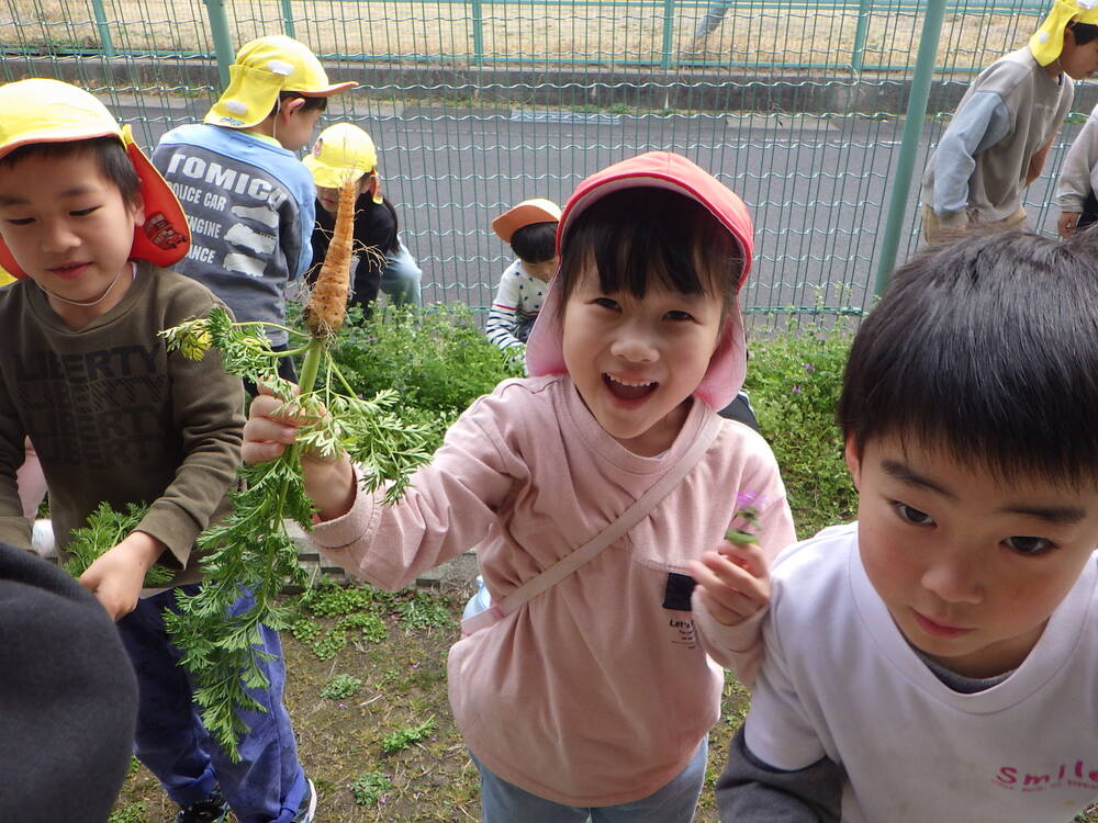 草抜きの様子