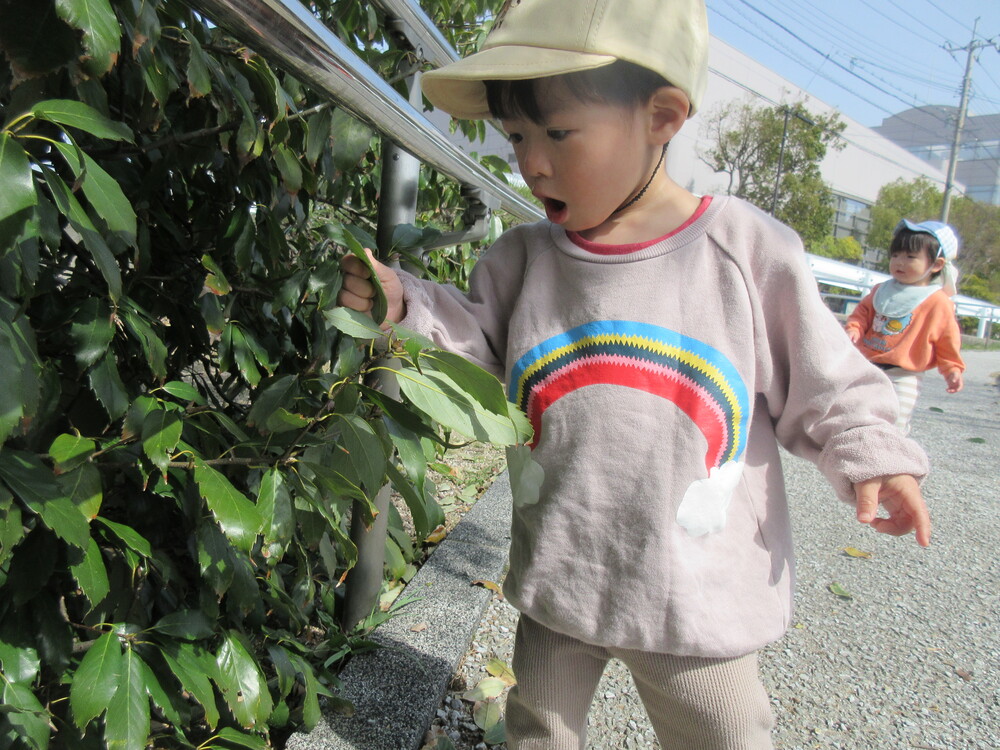 公園で遊んでいる
