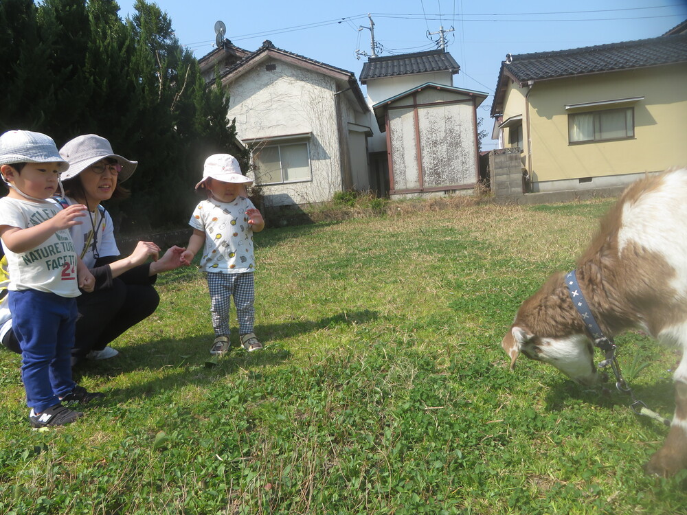 やぎと触れあう様子 (1)