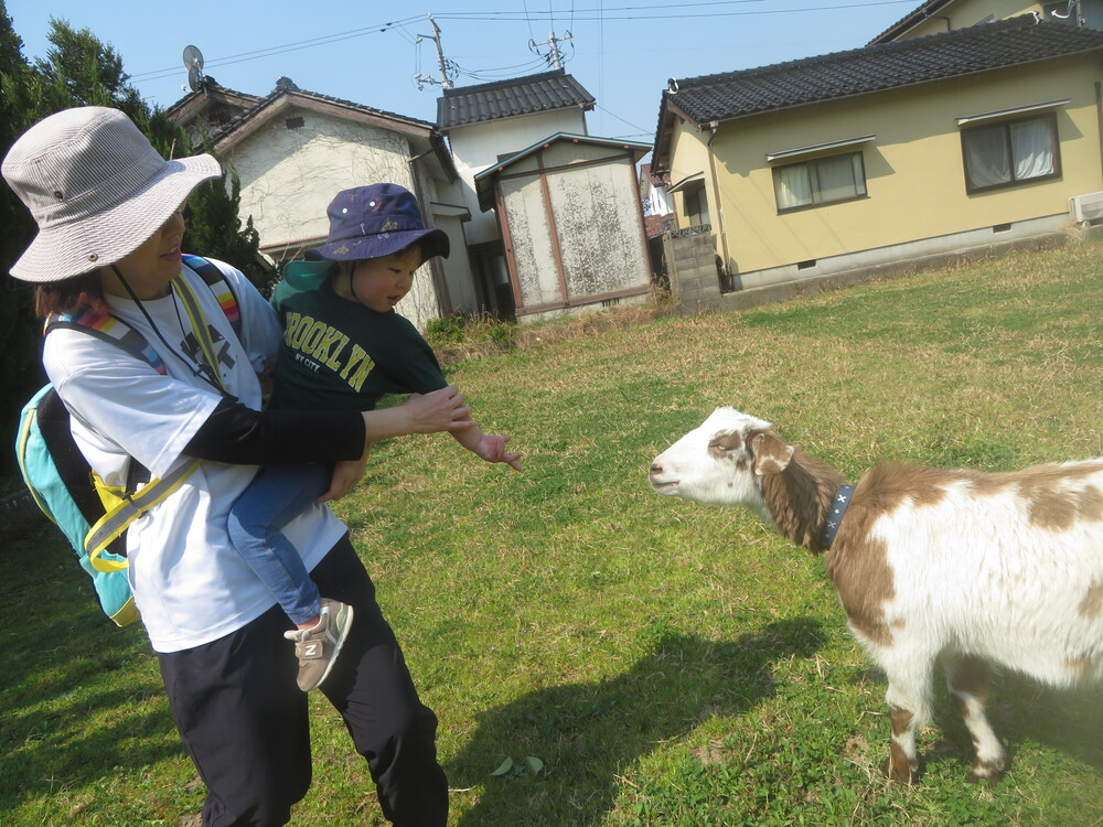 やぎと触れあう様子 (7)
