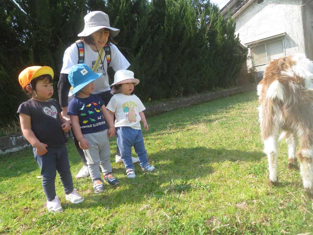 やぎと触れあう様子 (2)