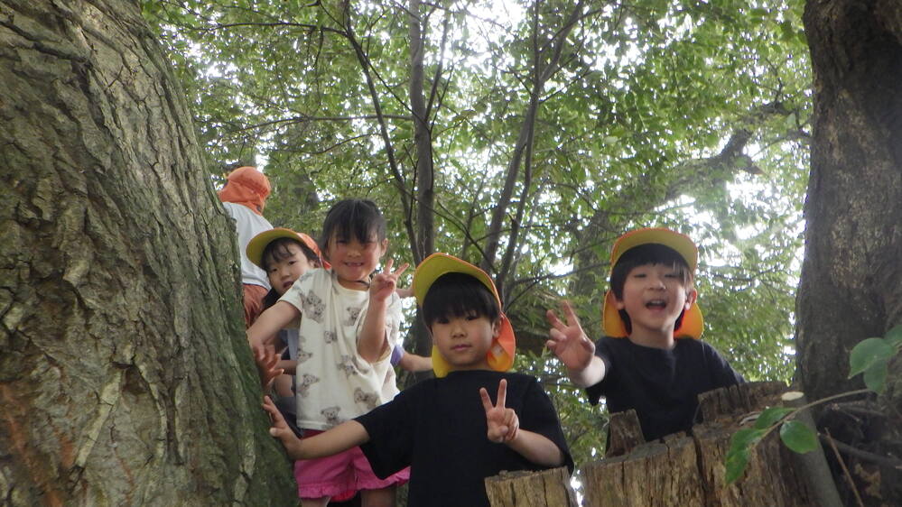 法蔵寺へ散歩