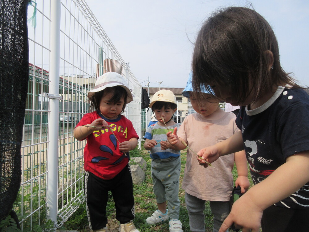 園庭遊びの様子 (2)