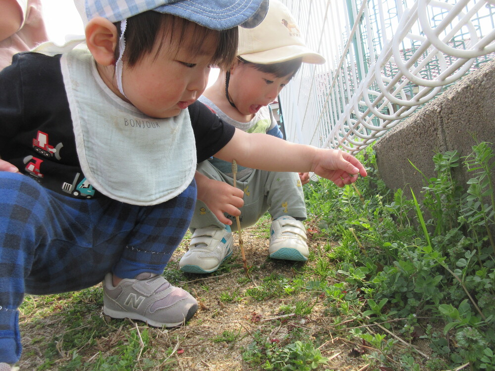 園庭遊びの様子 (3)