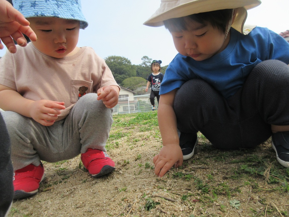 園庭遊びの様子 (4)