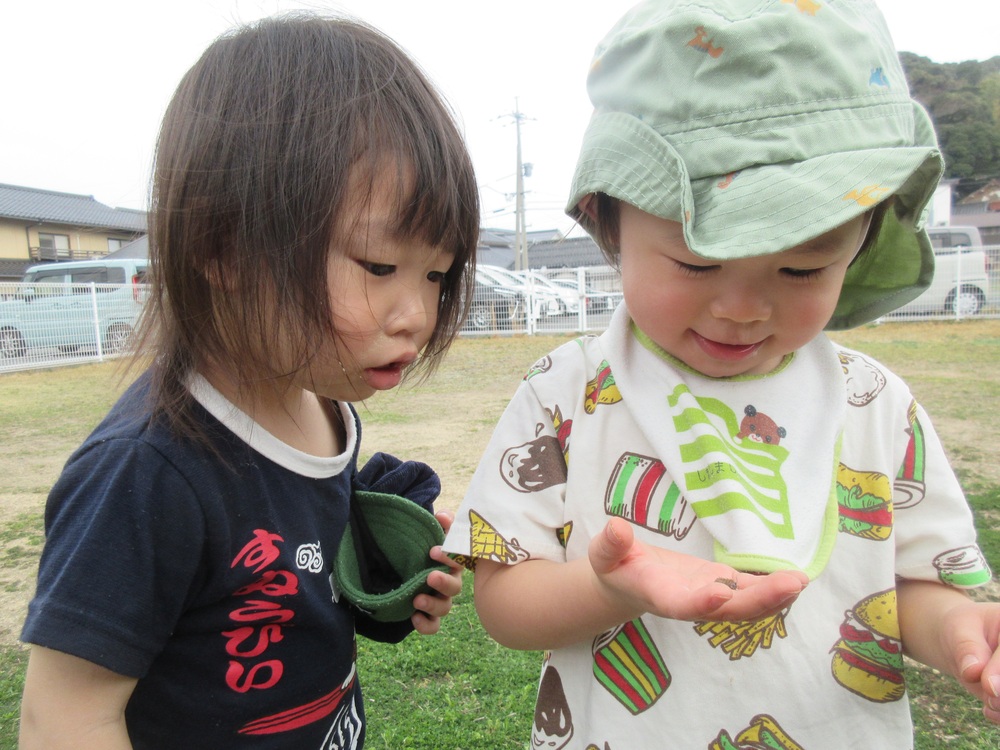 園庭遊びの様子 (5)