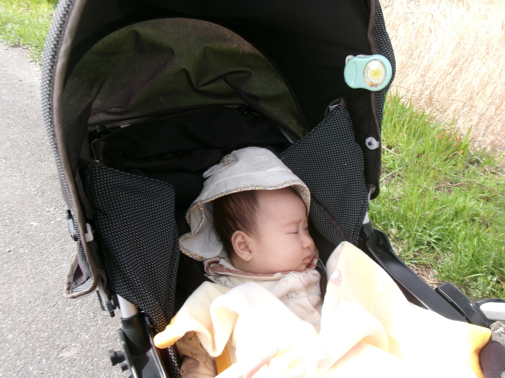 眠っている様子