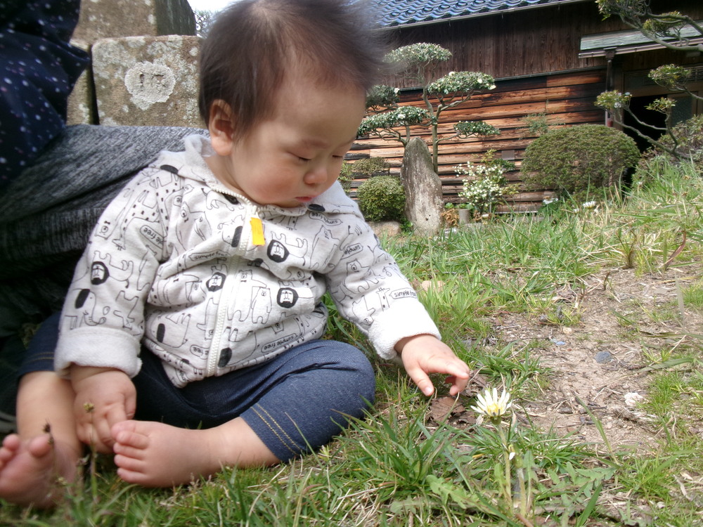 花を触る