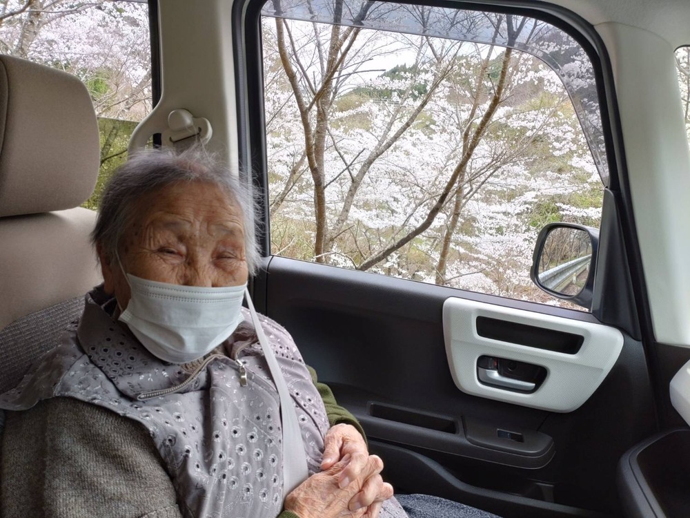 お花見