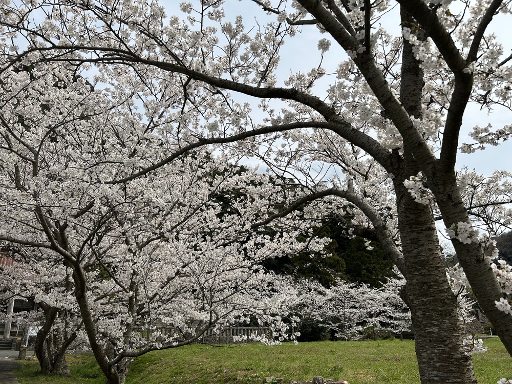 活動