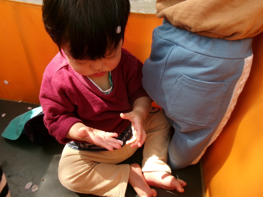 お散歩の様子 (１)