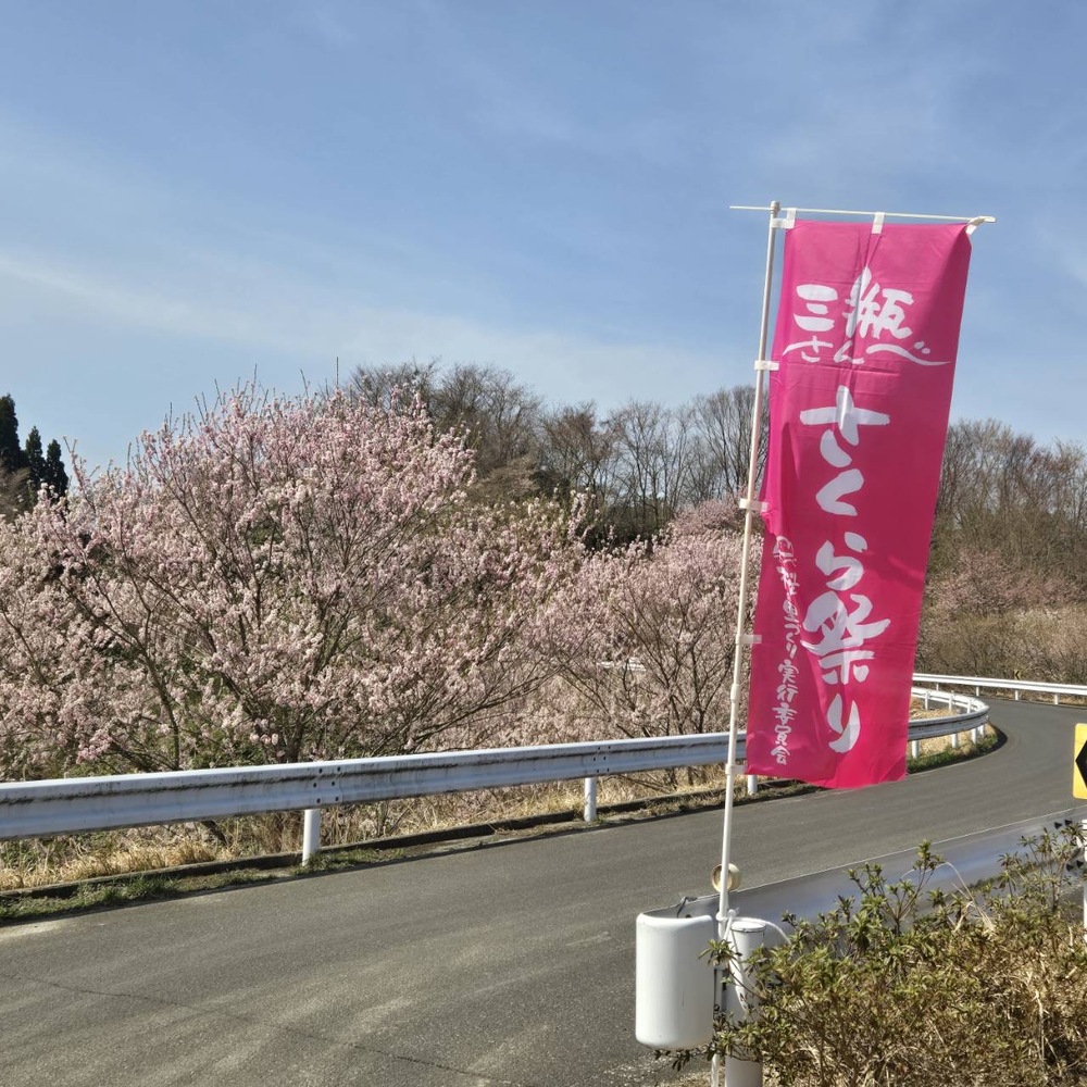 花見
