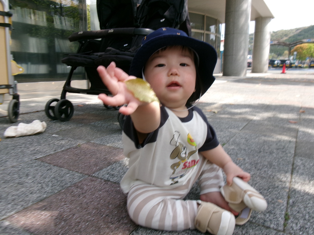散歩の様子 (2)