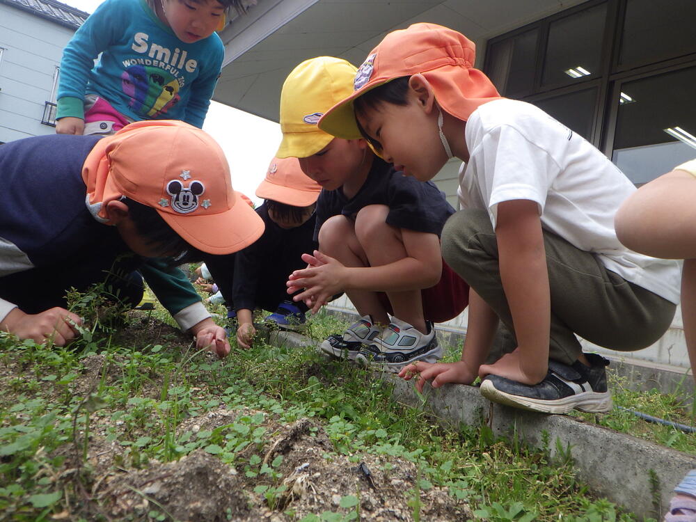 草抜きをする子ｄも