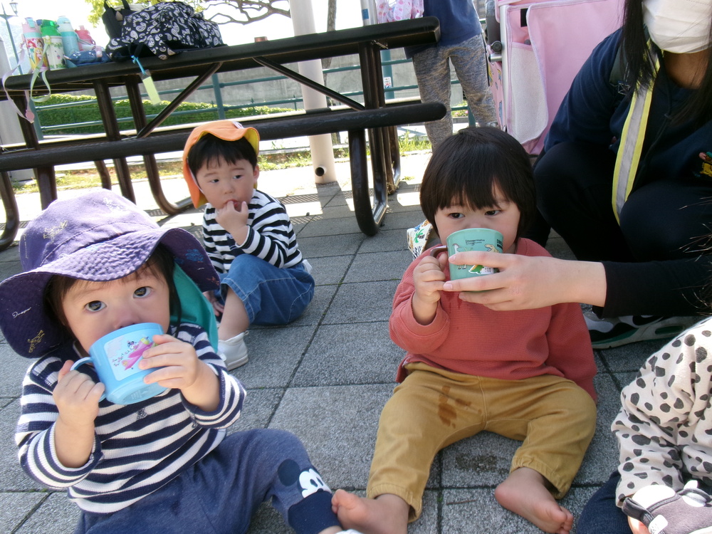 散歩の様子