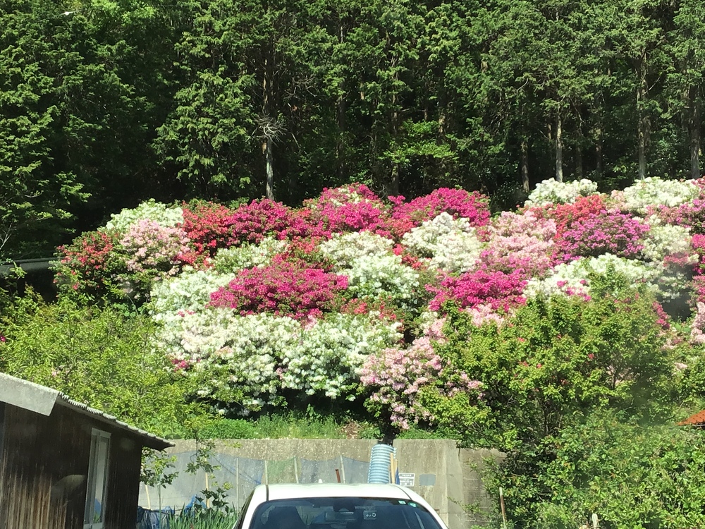 か