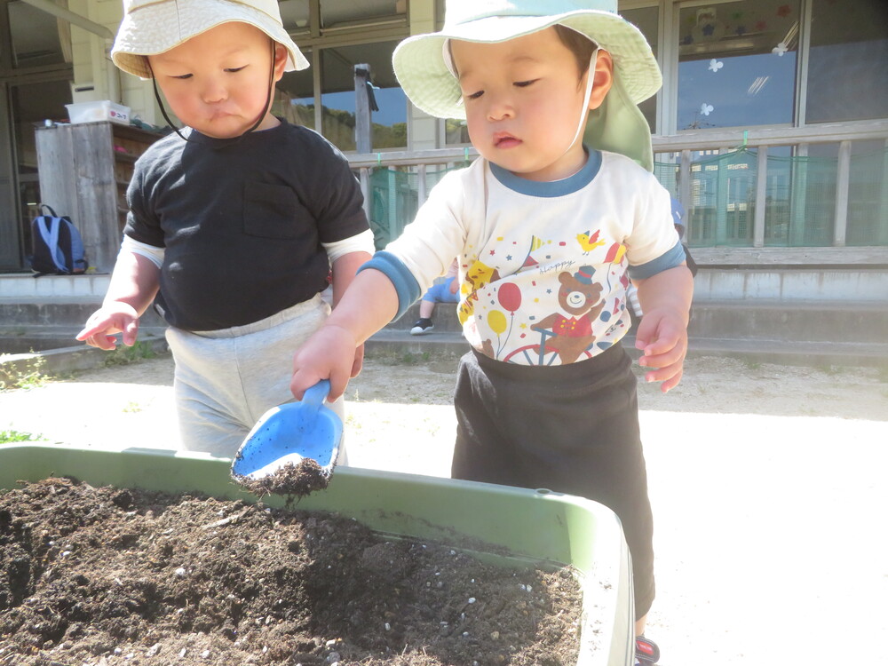 野菜の苗植えの様子 (3)