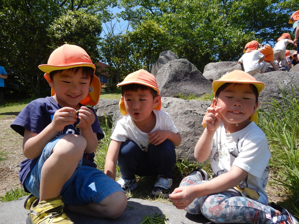 岩の上で遊ぶ子ども