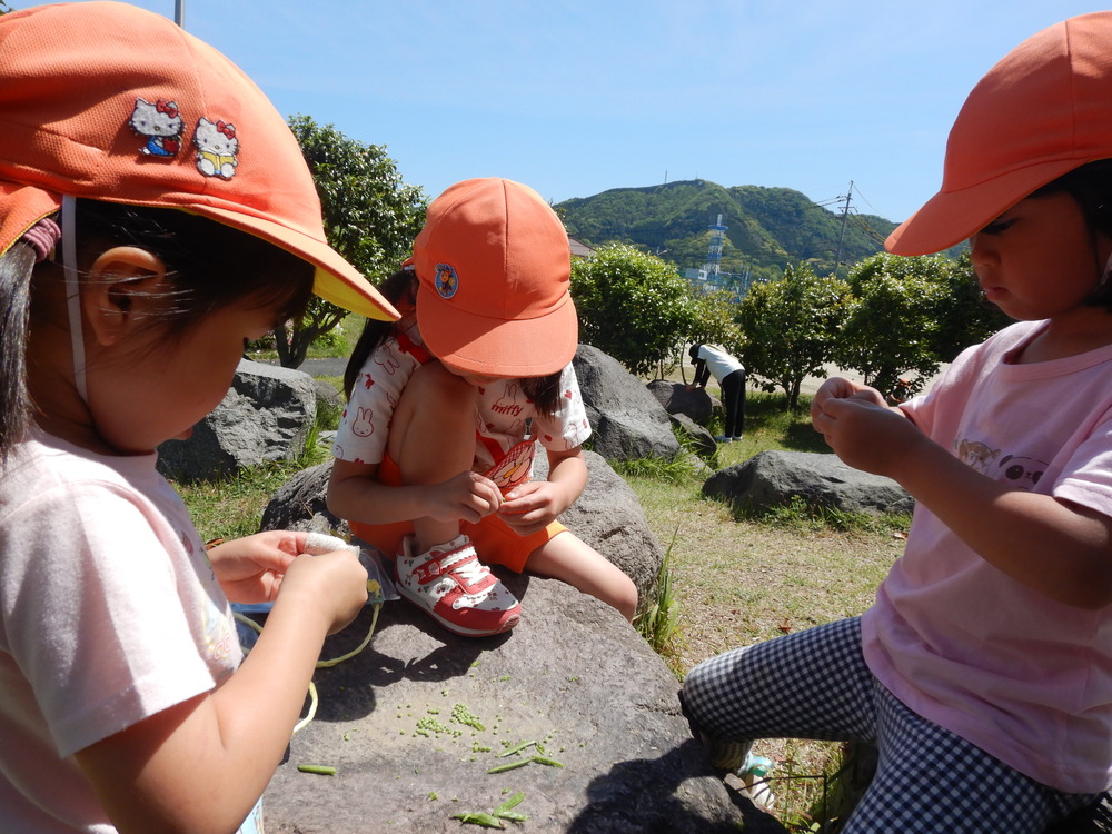 カラスノエンドウの豆を出して遊んでいる子ども